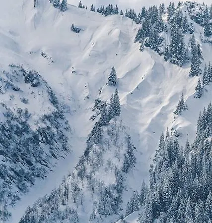 - Modern Luxury Residences *