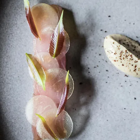 - Modern Luxury Residences